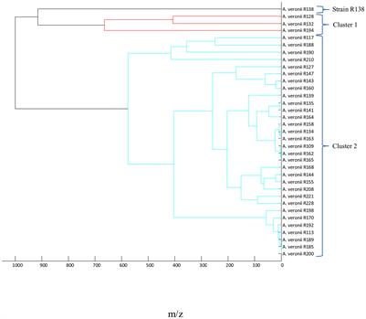 Plasmid-Mediated Fluoroquinolone Resistance Genes in Quinolone-Susceptible Aeromonas spp. Phenotypes Isolated From Recreational Surface Freshwater Reservoir